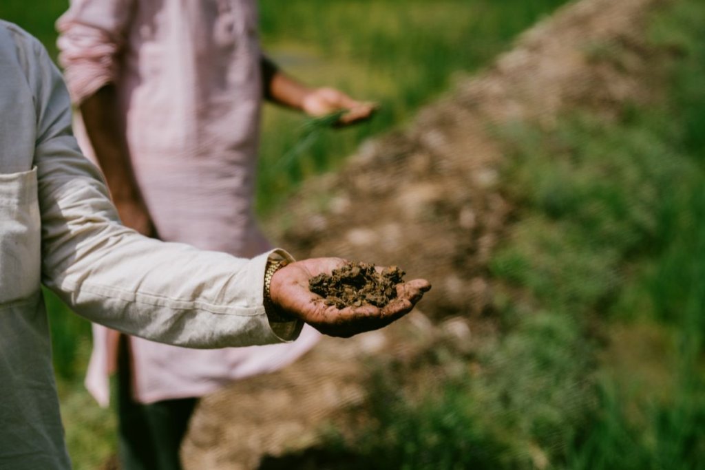 Healthy Soil, Healthy Gut: How Microbes Link Food, Farm & Wellness